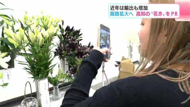 近年は輸出も増加 販路拡大へ 高知の“花き”をPR|TBS NEWS DIG