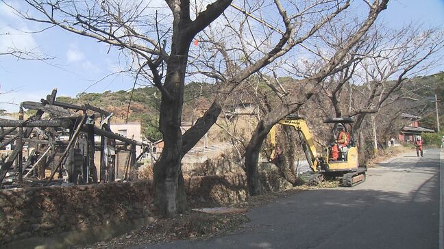 「残念だけど、街の再生のため」火災被害の桜並木、伐採始まる 大分市佐賀関大規模火災|TBS NEWS DIG