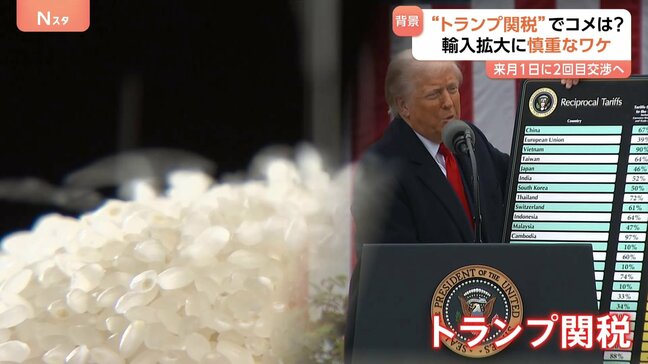 “トランプ関税”めぐる交渉でも焦点の一つに…それでも、政府・与党がコメの輸入に慎重なワケ|TBS NEWS DIG
