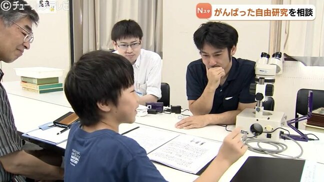 石の種類、イモムシの研究…子どもたちの自由研究の相談に　富山 |TBS NEWS DIG