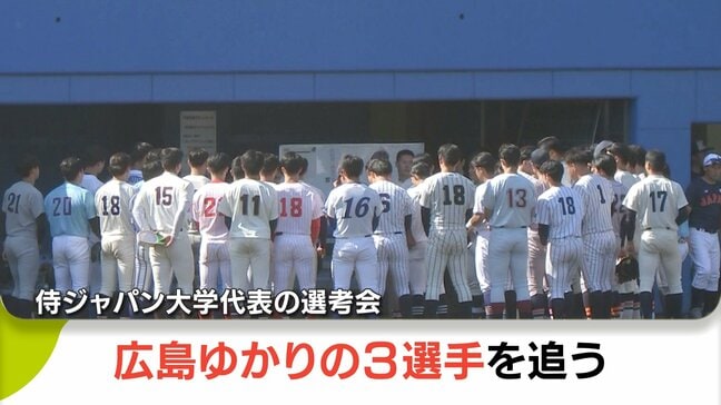 サッカーだけでなく野球も熱い！侍ジャパン大学代表選考会に広島ゆかり3人が参加|TBS NEWS DIG