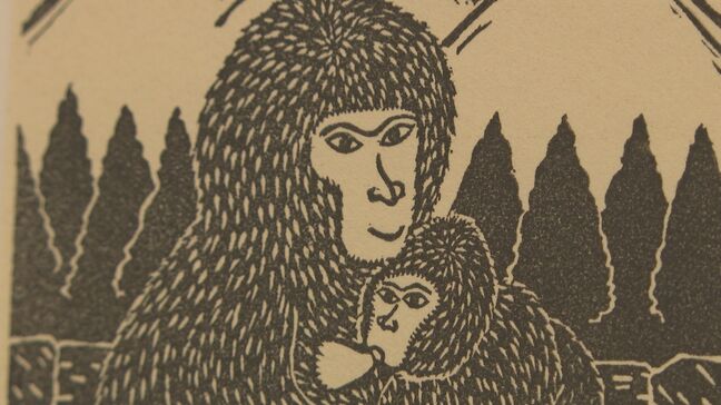 「版画のよさを再認識してほしい」1600点を展示 山口版画の会50周年記念展|TBS NEWS DIG