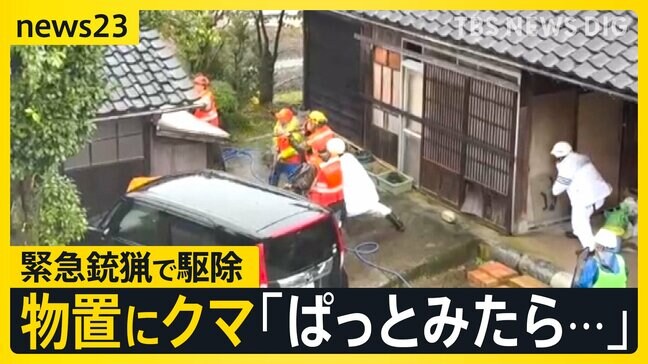 富山で民家の物置にクマ侵入→緊急銃猟で駆除　観光地ではクマめぐる“誤情報”も…目撃されたのはクマではなく“ニホンカモシカ”【news23】|TBS NEWS DIG