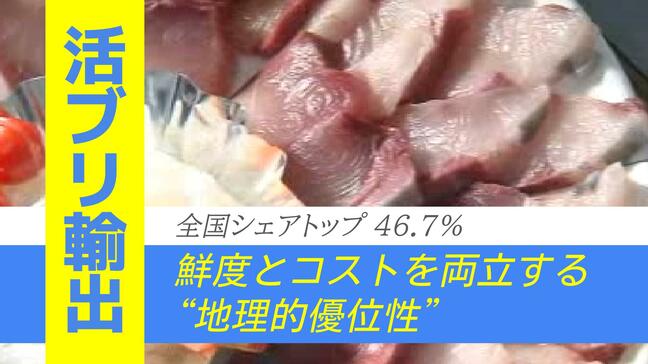 韓国で大人気、日本の「ぶり」　全国5位の長崎がトップシェア、過去最高55億円突破　理由は“地理”にあり|TBS NEWS DIG