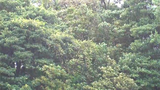 秋雨前線が停滞…きょう22日も非常に激しい雨のおそれ　平年1か月の雨量上回ったところも　鹿児島|TBS NEWS DIG