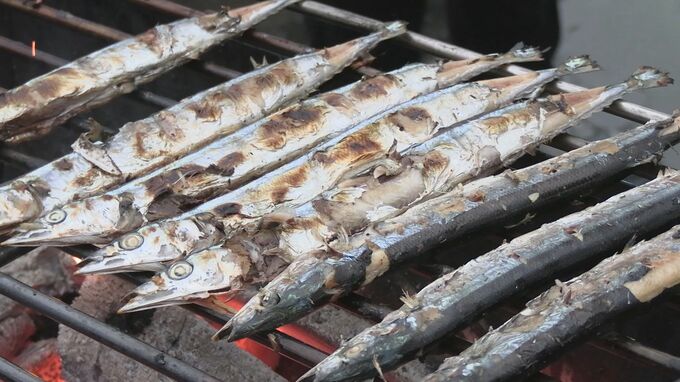 「新鮮でホクホク」　炭火焼きのサンマ8000匹を無料で振る舞う　水揚げ本州一の岩手・大船渡市で秋の味覚楽しむイベント|TBS NEWS DIG
