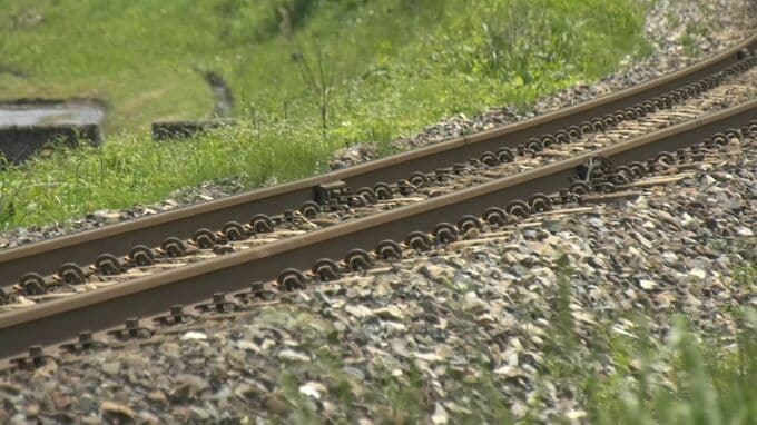 シカが暑さ対策か…「鉄分や塩分を求めてレールを舐めに来ている」可能性　JR列車とシカの衝突事故相次ぐ　人気寝台特急「サンライズ出雲」や「特急やくも」にも運休など影響　シカがわざわざ線路にやってくる|TBS NEWS DIG