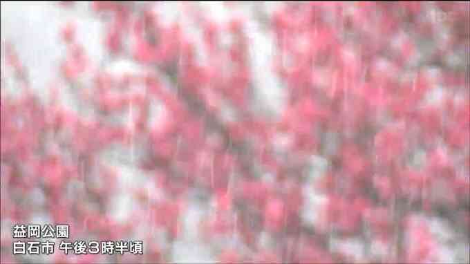 4日は警報級の大雪か　宮城県公立高校入試は1時間遅い開始決める（1教科目国語午前10時5分～、変更の場合4日午前6時半頃までに連絡）|TBS NEWS DIG