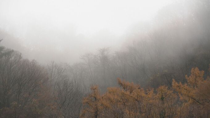 石川県内 平地でも降雪の可能性  二十四節気のひとつ「大雪」金沢の山間部では雪|TBS NEWS DIG