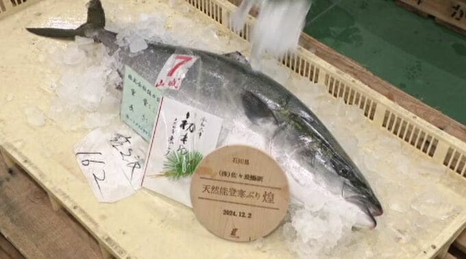 「日本一のブリや！」初物は200万円！天然の能登寒ぶり最高級ブランド「煌」の初競り　|　石川県のニュース｜MRO北陸放送