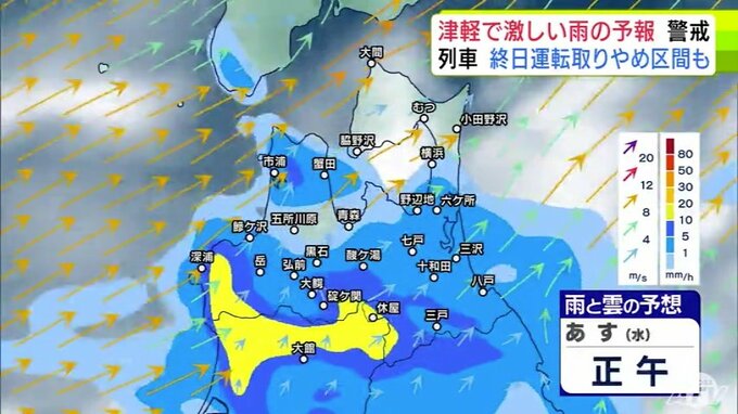 【大雨情報】青森県「津軽」で大雨の見込み　20日までの24時間の予想降雨量が津軽…120ミリ　下北と三八上北…80ミリ　前線が日本海から津軽海峡付近に停滞か【雨と雲の予想シミュレーション】|TBS NEWS DIG