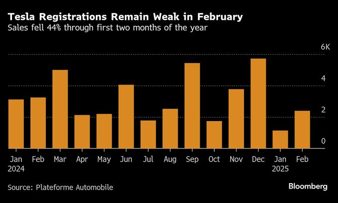 テスラ、フランスでの販売不振続く－２月は前年比26％減