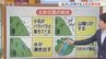 6月最終日は雲が広がり蒸し暑く　山沿いを中心に天気急変　今週は不快な暑さ続く　米津龍一気象予報士が解説　山梨　|　山梨のニュース | ＵＴＹテレビ山梨