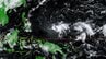 【台風情報】台風5号発生　日本への影響は？　※雨と風のシミュレーション　|　RCC NEWS | 広島ニュース | RCC中国放送