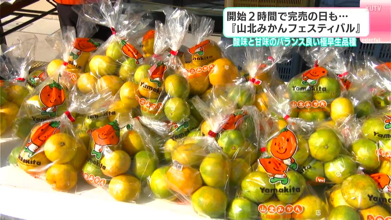 開始2時間で完売の日も…『山北みかんフェスティバル』 酸味と甘味の