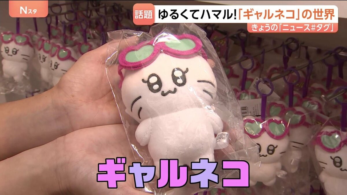 話題のギャルネコ】“めげない系” 人気沸騰！ギャルになりたいネコの