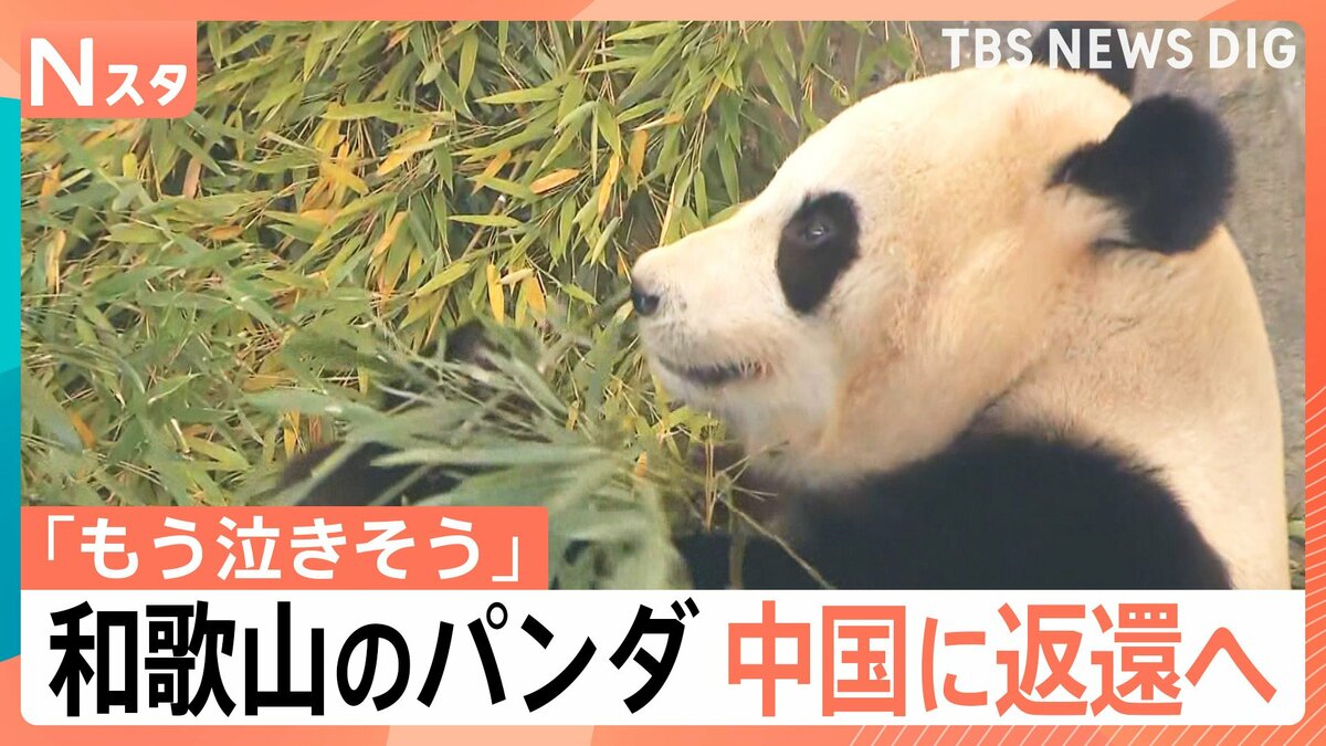 もう泣きそう」「大打撃」パンダが日本からいなくなる！？一方で、茨城