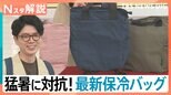 厳しい暑さで食品の持ち運びどうする?「背負える」「12時間氷が溶けない」進化系最新保冷バッグ【Nスタ解説】|TBS NEWS DIG