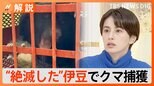 「今後『いない』とされていた地域で出没の可能性も」都市型クマ"アーバンベア"が増加 クマに遭遇したときの対応は…【Nスタ解説】|TBS NEWS DIG