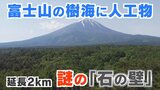 富士山の麓、青木ヶ原樹海に延長2kmの“石の壁”　いったい誰が何のために？　いまだ解明されない謎　|　山梨のニュース | ＵＴＹテレビ山梨