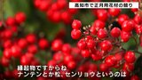 2024年もあと2週間 高知市で正月用花材の競り | 高知のニュース・天気|KUTV NEWS | KUTVテレビ高知