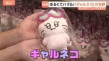 【話題のギャルネコ】“めげない系” 人気沸騰！ギャルになりたいネコのキャラクター「ツナ」　ポップアップストアも登場！「ギャルマインド」にハマる！？|TBS NEWS DIG
