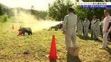 「山あいで業務をすることが多い職員を守るために」県農業公社が専門家を招き、獣害対策実務研修会を行う 岩手 | IBC NEWS | IBC岩手放送