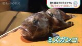 見た目はグロテスクでも味は… 暗闇に潜む深海魚で新たなメニューを開発 富山・魚津市 | 富山のニュース|天気・防災|チューリップテレビ