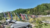 400匹のこいのぼりが青空を泳ぐ姿は壮観 道の駅南きよさと 山梨・北杜市|TBS NEWS DIG