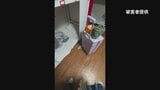 日本人男性が中国人女性の所持品に排尿？　韓国の警察が捜査|TBS NEWS DIG