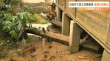 大雨被災地 日田市 国の重要無形文化財「小鹿田焼」が生産中断の事態に 皿山地区で唐臼が破損 大分 | 大分のニュース|OBS NEWS|大分放送