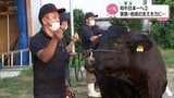 和牛日本一へ 地域と家族一丸となって全共に初挑戦 宮崎市の若手農家|TBS NEWS DIG