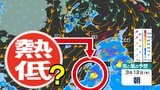 【台風のたまご＝熱帯低気圧】発生へ 「父島」のすぐ南に北上か【雨風シミュレーション７日（土）～１６日（月）／ 全国各都市の週間予報】|TBS NEWS DIG