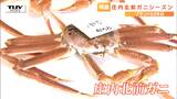 庄内北前ガニ 越前ガニより1か月早く解禁・出荷し値段は半値!? 茹でガニ、焼きガニ、刺身、カニ雑炊がオススメ!(山形) | 山形のニュース│TUYテレビユー山形