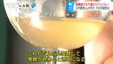 雑草生い茂る場所に玉村豊男さんがワイナリーをオープンさせて21年「千曲川ワインバレー」ゼロからスタート…人材育成で世界から注目される産地の一つに…ワインが人を呼ぶ観光やまちづくり | SBC NEWS | 長野のニュース | SBC信越放送