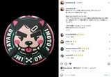 【 イモトアヤコ 】 「現在Xアカウントが第三者からの不正アクセスにより乗っ取られた可能性があります」 インスタグラムで注意喚起|TBS NEWS DIG