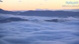 「岩手空中散歩」民話のふるさと・遠野の雲海 ドローン映像で紹介|TBS NEWS DIG