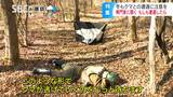 「クマの冬眠が遅れて、まだまだ遭遇する可能性も…」専門家が指摘、今年の冬は要注意!もしクマと遭遇したら?遠くで見かけたら「静かに後ずさり」近くでは…?詳しい【対処法】 | SBC NEWS | 長野のニュース | SBC信越放送
