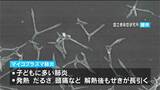 マイコプラズマ肺炎の感染者　前週から倍増　新型コロナは減少　鹿児島県|TBS NEWS DIG