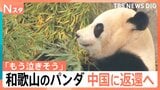 「もう泣きそう」「大打撃」パンダが日本からいなくなる！？一方で、茨城県の動物園で“パンダ誘致”の動きも【Nスタ解説】|TBS NEWS DIG