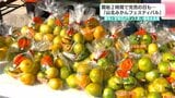 開始2時間で完売の日も…『山北みかんフェスティバル』 酸味と甘味のバランス良い極早生品種|TBS NEWS DIG