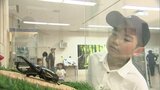 大淀川学習館でカブトムシ・クワガタムシ展 | MRTニュース | MRT宮崎放送