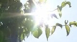 「温暖化やばい…」長野県内各地で35度以上の猛暑日…2学期始まった小学校でも「熱中症対策」体育館と校庭は毎日「暑さ指数」確認…26日も各地で猛暑日予想、引き続き熱中症に注意|TBS NEWS DIG