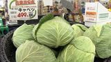 「キャベツが高い!」「今や高級野菜」消費者も生産者もスーパーも飲食店も悲鳴 不作が背景に「一番できの悪い年ですね」【岡山】|TBS NEWS DIG
