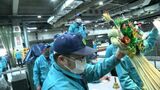 新年に神様を迎えるための「正月事始め」 岡山市中央卸売市場では正月飾りのセリ「お飾り市」|TBS NEWS DIG
