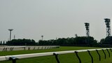 JRA日本中央競馬会が2025年の開催日程を発表　新潟競馬場は春・夏・秋の4開催24日間予定　夏の重賞は『関屋記念』から|TBS NEWS DIG
