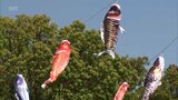 こどもの日を前に 宮崎市でこいのぼりの掲揚式|TBS NEWS DIG