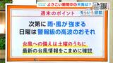 高知の天気　台風6号は四国にかなり接近するおそれ　よさこい祭りへの影響は？　東杜和気象予報士が解説|TBS NEWS DIG