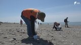 2700人が海岸清掃 「ウェルカメクリーン作戦」＝浜松市　|　静岡のニュース | SBSNEWS | 静岡放送