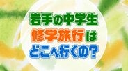 今どきの中学生は修学旅行でどこに行っているの？　98.5％は〇〇方面へ　多彩な体験も　岩手|TBS NEWS DIG
